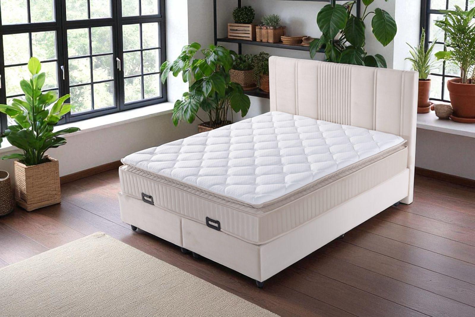 Lit coffre Lugano Beige